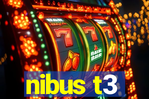 nibus t3